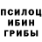 Псилоцибиновые грибы ЛСД _Xedar_