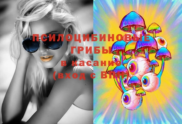 мдпв Арсеньев
