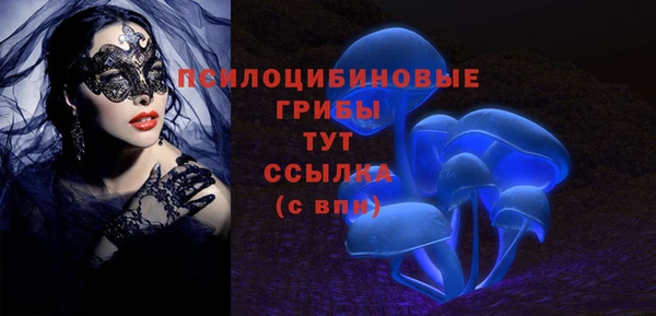 мдпв Арсеньев